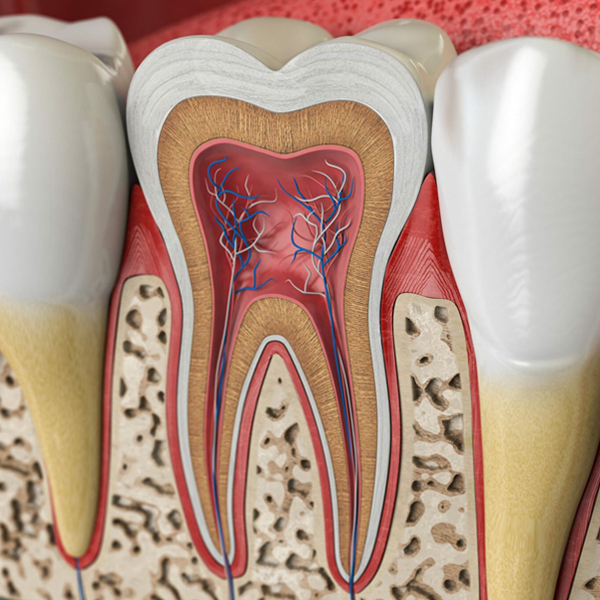 dental fillings in joplin